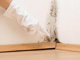 Best Mold Odor Removal Services  in Statham, GA